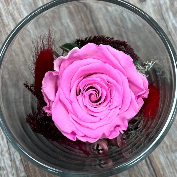 Infinity Rose im Glas - pink Bild 1